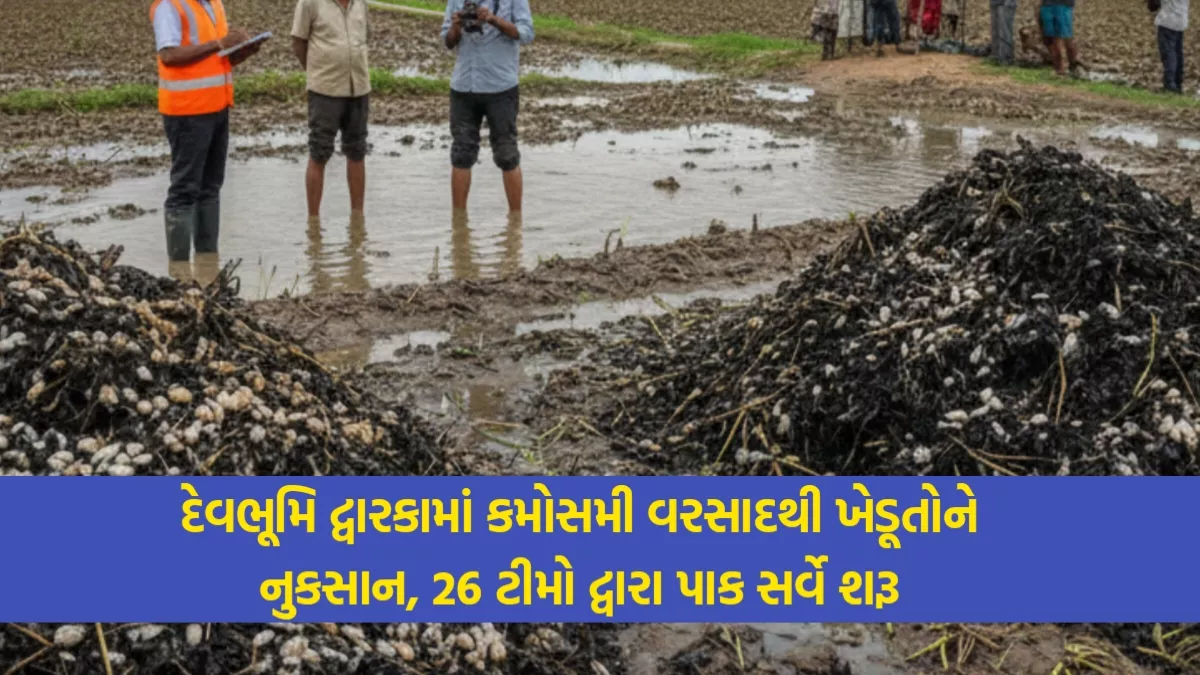 દેવભૂમિ દ્વારકા માવઠા સમાચાર